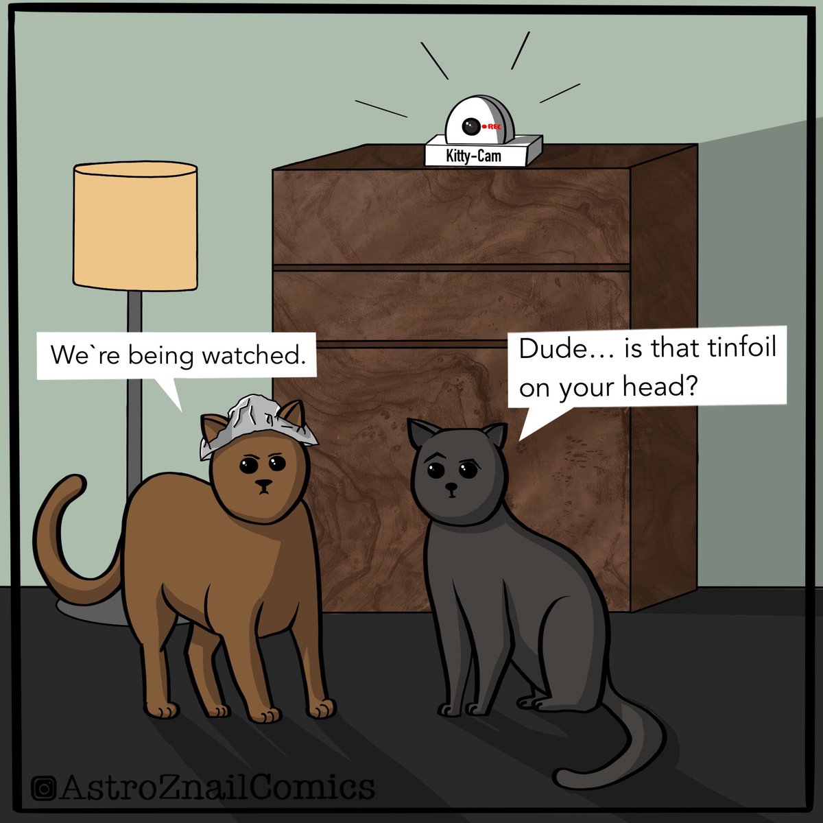 AstroZnail's tweet photo. Big brother is watching you. 

#bigbrother #tinfoilhat #tinfoil #cat #cats #catcam #comic #dude #cartoon #comicstrip #webcomic #webtoon #digitalcartoon #digitalcomic #webcartoon #alufoil #illustrator #webcomics #funny #lol #laugh  #werebeingwatched #catcomic https://t.co/SHcac1436W