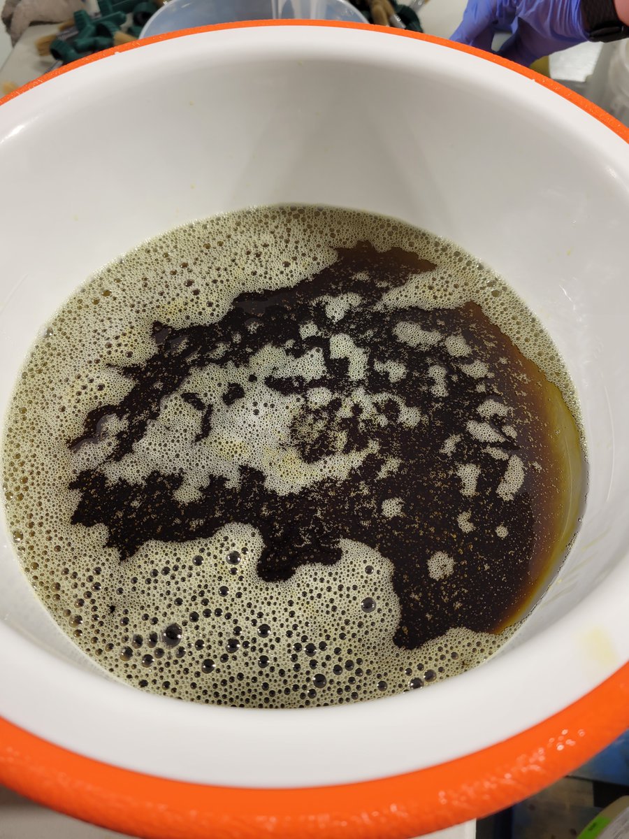 HempSweetwater's tweet photo. Today we are working on a co-packaging deal with a company out of California. This oil is made for horse hooves. We love finding great people to work with and make their dreams of a best selling product come to life!

#fullspectrumclarity #copackaging #horse #relationships https://t.co/slESbp7du8