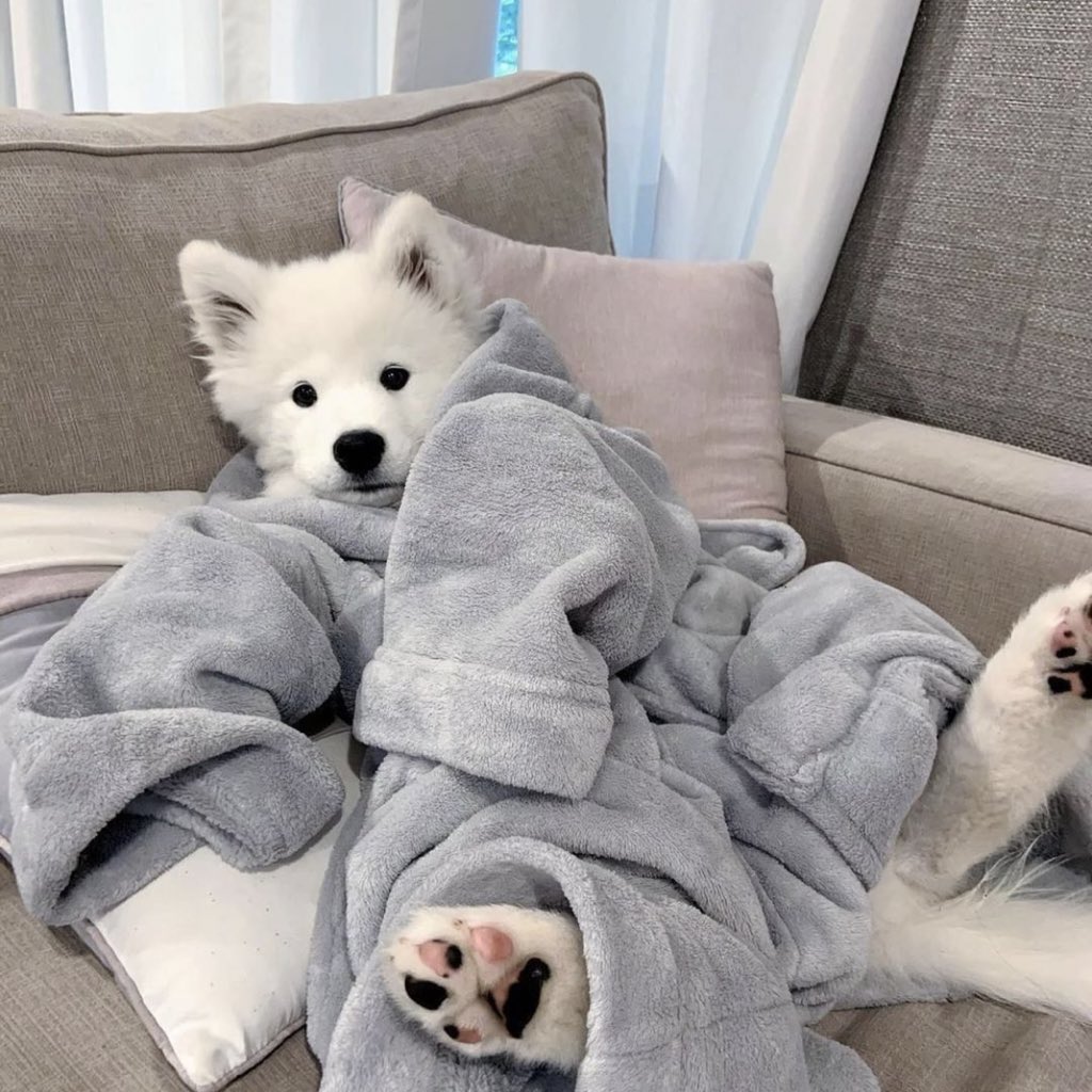 tiny__po's tweet image. #피오 #표지훈