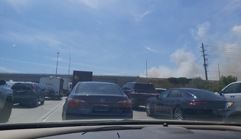 Tracy Near tweet media