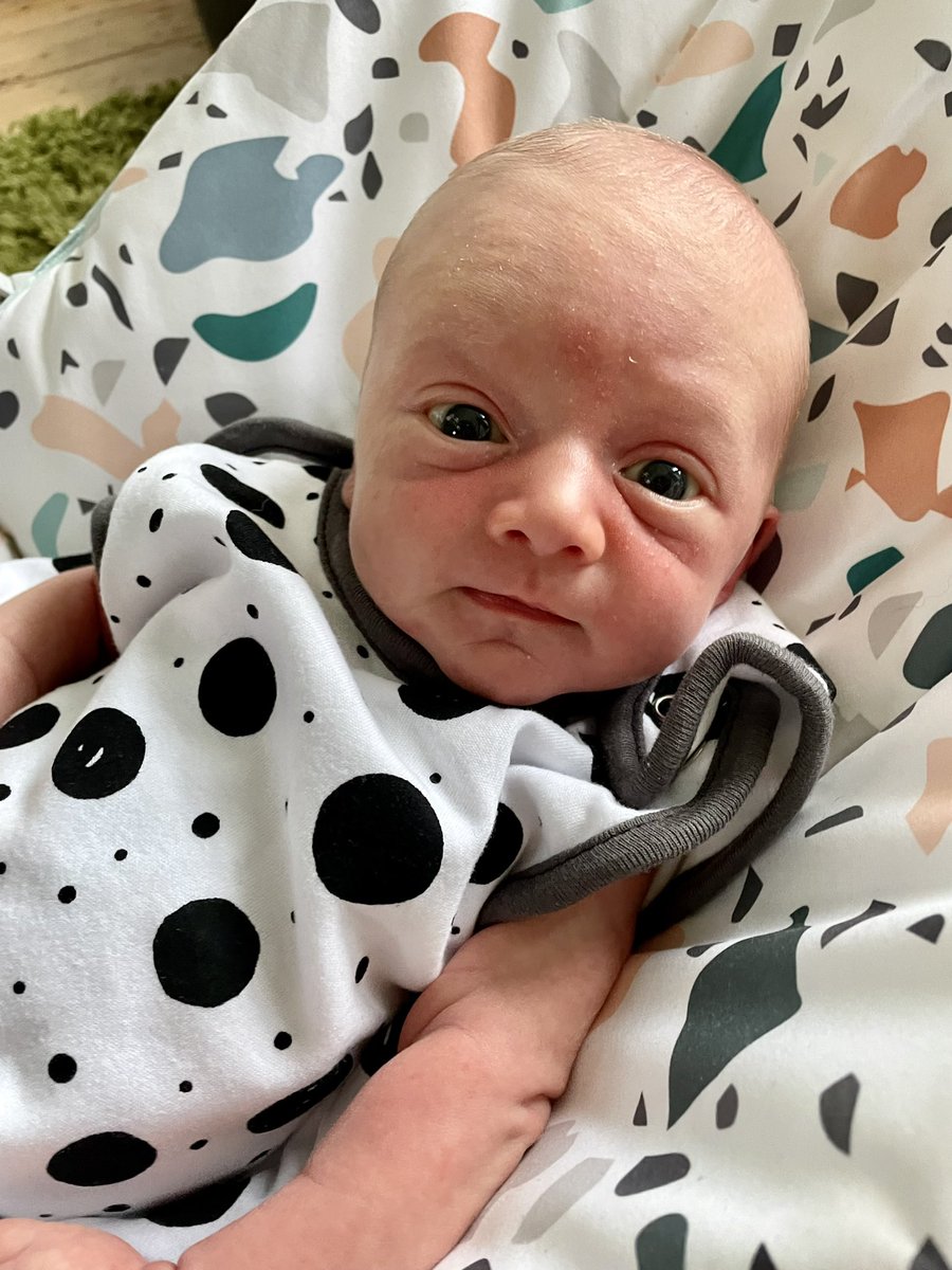 Alexandra. tweet media