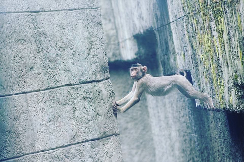 Einfach mal abhängen, den rest machen wir✔️

sapper-digital.de

#digital #heidenheim #aalen #ulm #BreakingNews #FreyaTheWalrus #BusinessUpdate