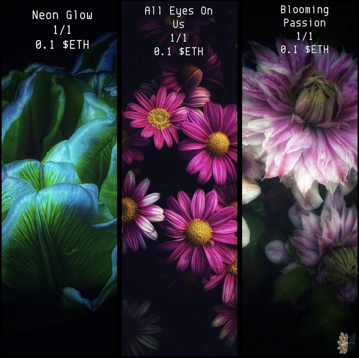 elfearsfoxsox's tweet photo. Hi everyone, just thought I’d put all my available Nfts in one place. 

Pink Perfection
https://t.co/iZadgZcqLQ

Daydreams &amp; Dreamscapes
 https://t.co/uoVdsAZ7qy

Blooming Wild Passion
https://t.co/R9X9tAM8Dv

Seaspray Scenes
https://t.co/JdNQG54U1j

#nft #tezos #NFTphotos #photo https://t.co/4Zbe5MS1fo