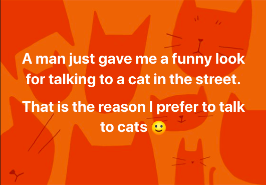 CuthbertScatCat's tweet photo. #catlovers will understand https://t.co/gZZyKclomW