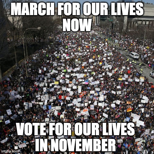 @nathaliejacoby1 Millions of Americans marching now and coming to vote in November.
