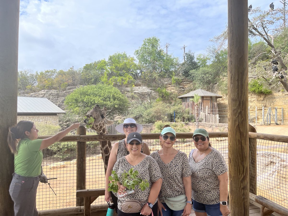 Audrey Sifuentes tweet media