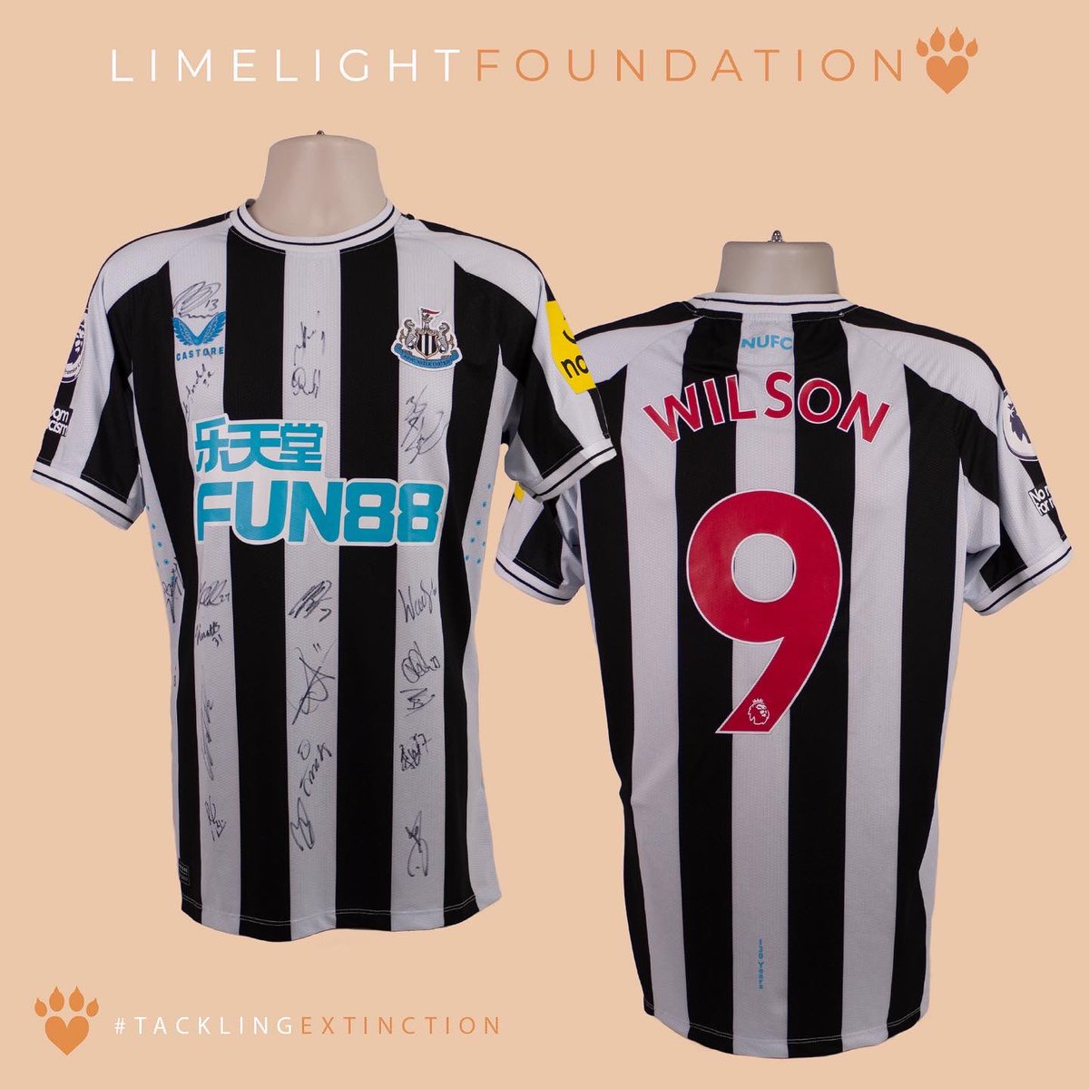 The Limelight Foundation tweet media