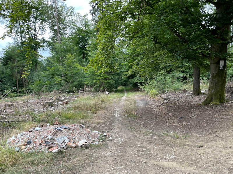 wegepaten's tweet photo. Immer wieder Bauschutt im Wald. Wann begreift ihr endlich, dass die Natur unsere Lebensgrundlage ist? Gesehen beim #Wiesbaden|er Wandertag, Ecke Rhein-/Taunushöhenweg, https://t.co/c7JKUAMtJ6