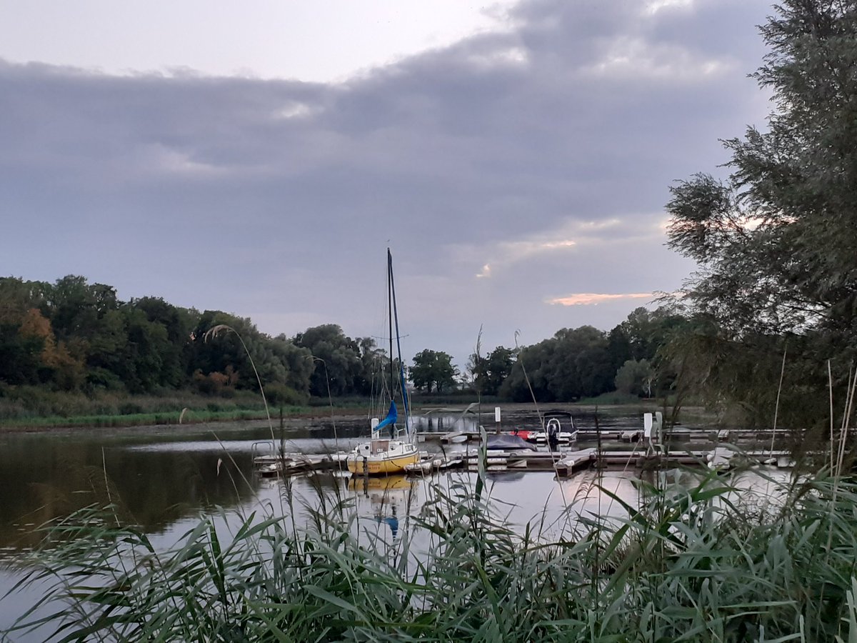 Retour au bercail
belle soirée <a href="/LCorsyn/">Louise 🌾</a>