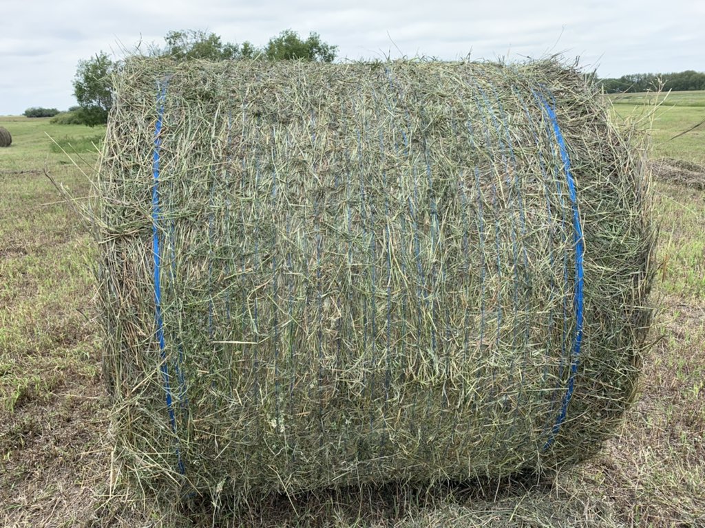 4 Sale: Hard core bales. No rain, foxtail, cattails, willows or mold.About 40% alfalfa.Species of grass vary from meadow brome,tall fescue and smooth brome. Ryegrass,Timothy,clovers and other species to a lesser degree in mix.500 bales available.$200/tonne.
306-577-9141