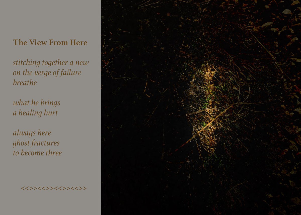 eyelounge's tweet photo. Opening reveal!—The View From Here—a weaving together of three different bodies of artwork by artist Megan Driving Hawk. Each body of work focuses on different motherhood experiences that loop in and out of each other. https://t.co/8pgS9OnVg2