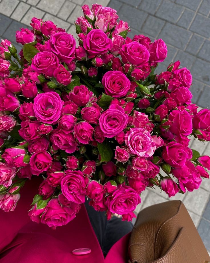 ciceklendirdik's tweet photo. 🌺 https://t.co/nj7rTvROih