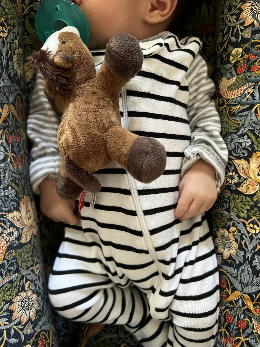 Happy first day of school to everyone at <a href="/Morton201/">Morton 201</a>. This little mustang hopes you have a great year 💖