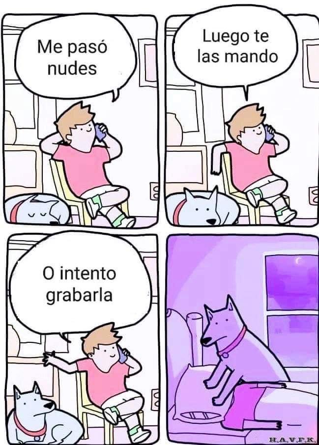 DiloConPerritos's tweet photo. Gracias, perrito. https://t.co/RXEZDu4fGF