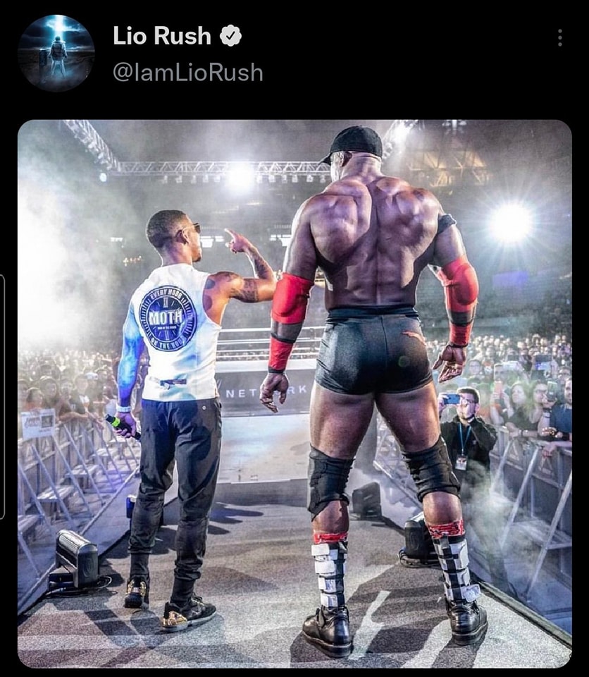 Wrestlelamia.com tweet media