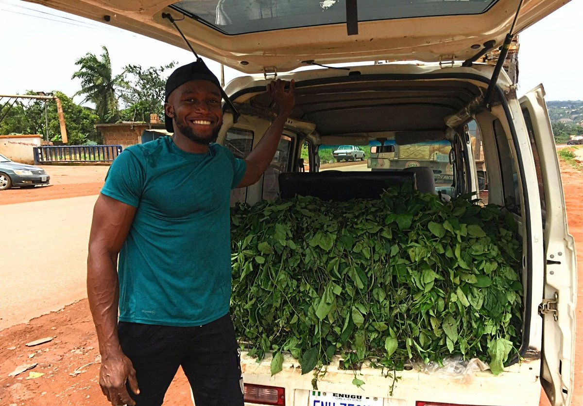 ichiebuchifarms's tweet photo. "Sit at home" or not, people have to eat FOOD!
#Enugufarmer #plantdaddy #Enugutwitter #marketgarden #vegetablefarm #vegetables #farmlife https://t.co/OjWQVvSJob