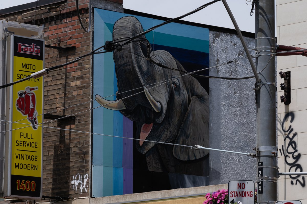 STEPSPublicArt's tweet photo. 🐘‘The Elephant Gates’ murals by @MuralsByMarg  done in collaboration with @PercyEllisDev and STEPS Public Art, can be spotted at 1400 and 1415 Gerrard St E, Toronto. Explore the STEPS News page for more about public art in your neighbourhood: https://t.co/xif2G9d1iA https://t.co/fl2APnL6Mr