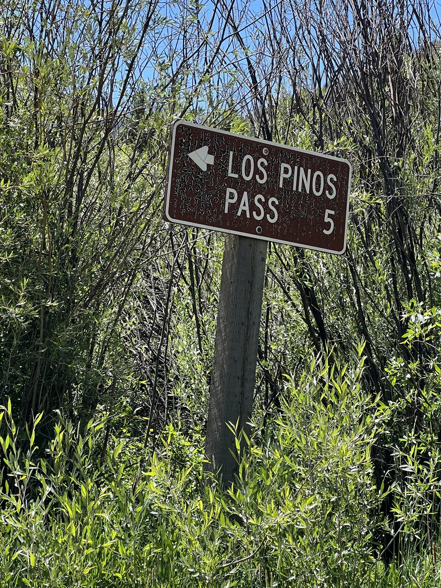 Biketruck's tweet photo. Colorado Backcountry - Rough translation is “Penis Pass” - we decided to go around the back way… 🤦🏻♂️
#COBDR #USA #OffRoad https://t.co/qJWADYdnm7