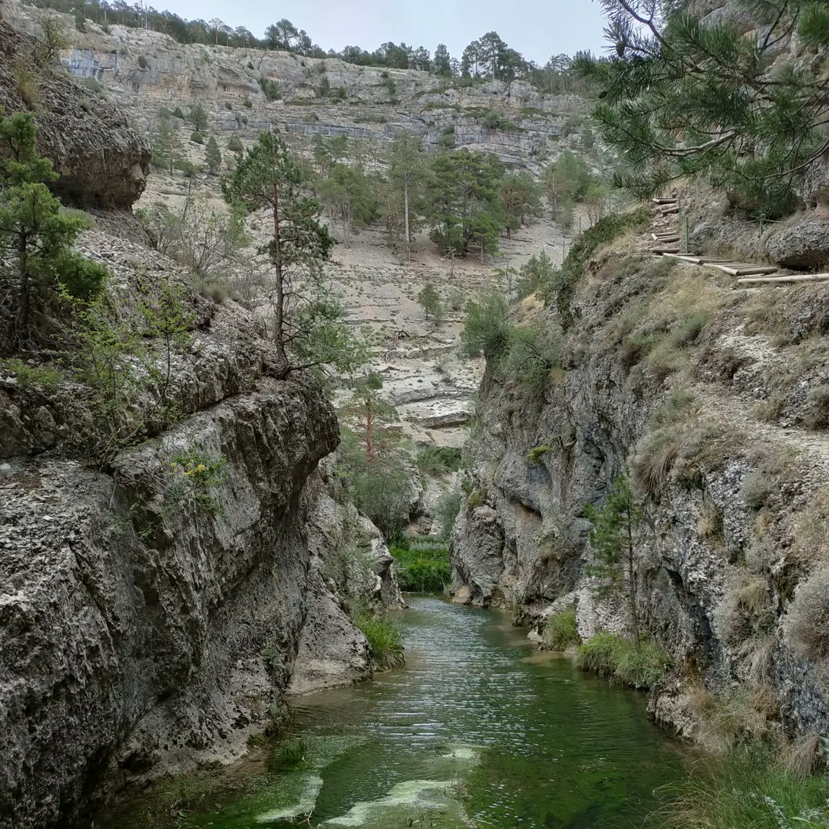 sdomzu's tweet photo. Hidrología y geomorfología turolense que mola mil ¡Enamorado vuelvo a casa! 😍 #GeografíaFísica #FuentedeCella #Cascada Calomarde #RutadelasPasarelas Barranco de la Hoz 🏞️ #geografía #paisajesnaturales #escapada https://t.co/0wASL9X30q