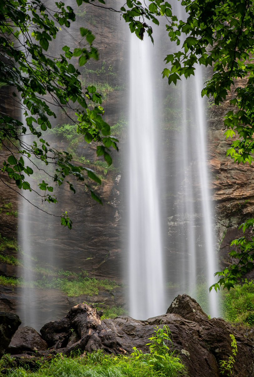 HeavyNature's tweet image. By the end of this week I might be caught up enough on remodeling projects to enjoy an early morning waterfall hike. &amp;lt;fingers crossed&amp;gt;