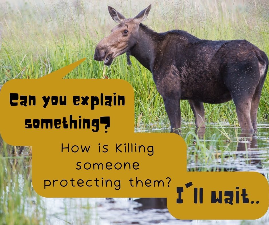 Killing is NOT conservation. Read more about our position conservation under the Mythbusters tab on our website - link in the bio. #wildlifeforall #wildlife #wildlifeconservation #wildlifeprotection #conservation #conservationist #environmentalpolicy