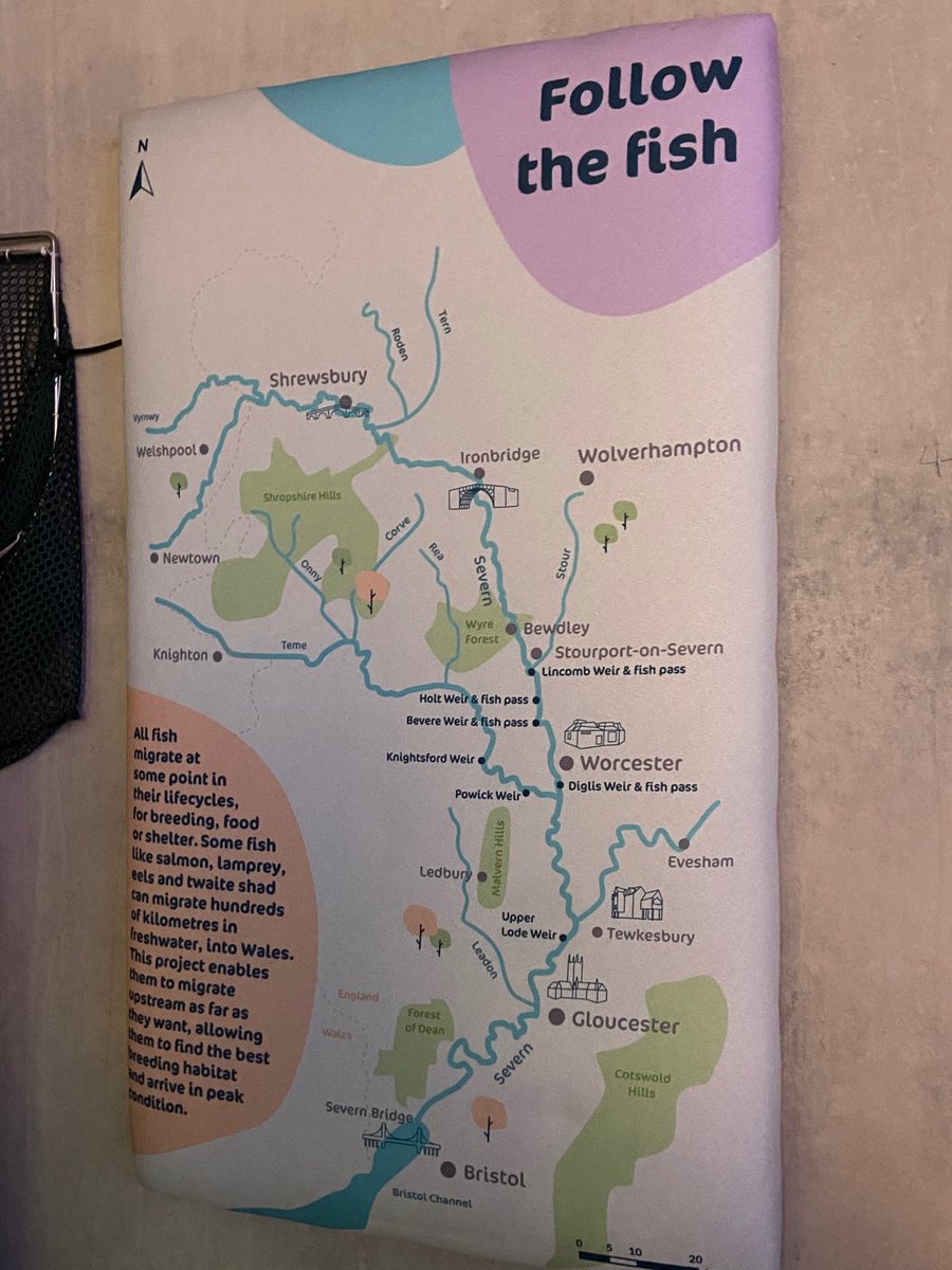 AnnaBaatz's tweet photo. Awesome day out in the field today gathering #qualitative evaluation data at @SevernUnlocked #diglisfishpass #twaiteshad #ilovefish #lifesbetterbywater @CanalRiverTrust https://t.co/eWQFXHzlhb