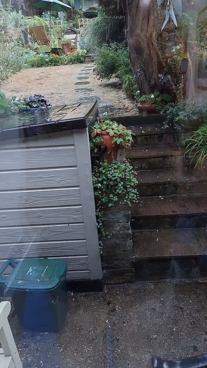 Hurray it's raining!