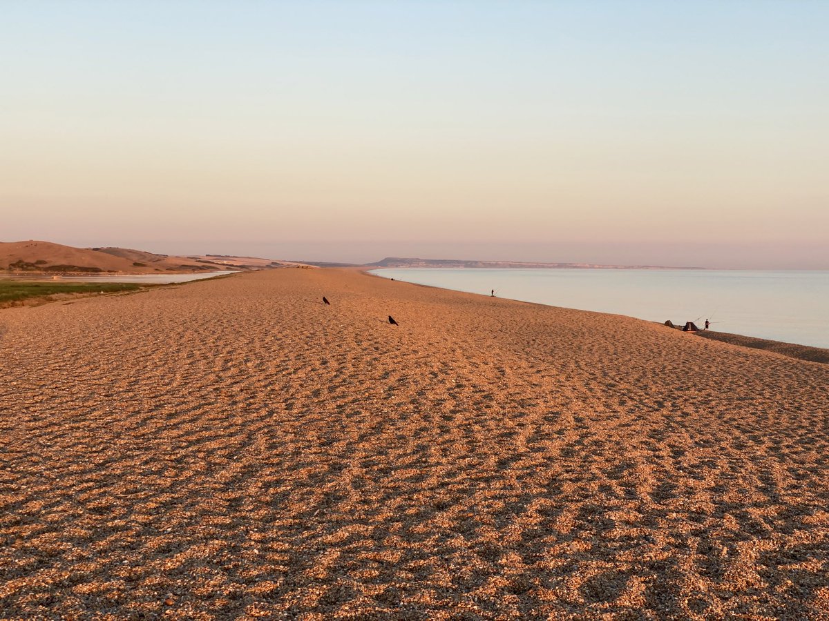 SandySwims1965's tweet photo. @radioclashblog Who needs bars pubs and nightlife when most people are asleep after spending fabulous days on the Jurassic Coast or fishing through the night on Chesil Beach. 

If you are going to read a Thomas Hardy novel you might enjoy ‘The Return of the Native’ it is a page turner! 📕 https://t.co/1YGtAopdov