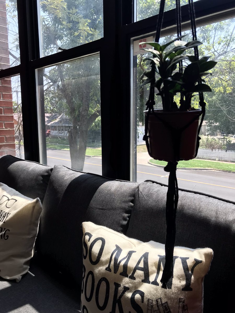 AngieBuis1's tweet photo. The Plant Room SGF made a generous donation to @ReedAcademy1 Library to green up our space! Thank you! Go check them out on South Glenstone. @officialSPS #spslib #greenupyourspace #ficas #snakeplants #theplantroom #greenlibrary #thankful https://t.co/TRZ9gbq7Qf