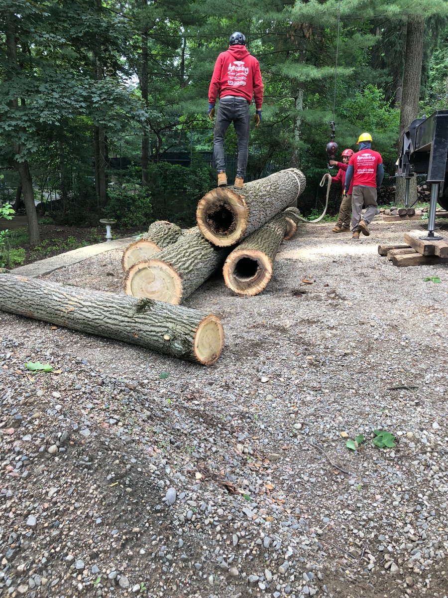 amazingtreesnj's tweet image. Expert Tree Removal Service 
To schedule a free estimate call us at (973)343-6868.

#TreeRemovalService #TreeRemovalServiceNJ #TreeRemoval #TreeRemovalExperts #ExpertTreeRemovalService
atreeservicenj.com