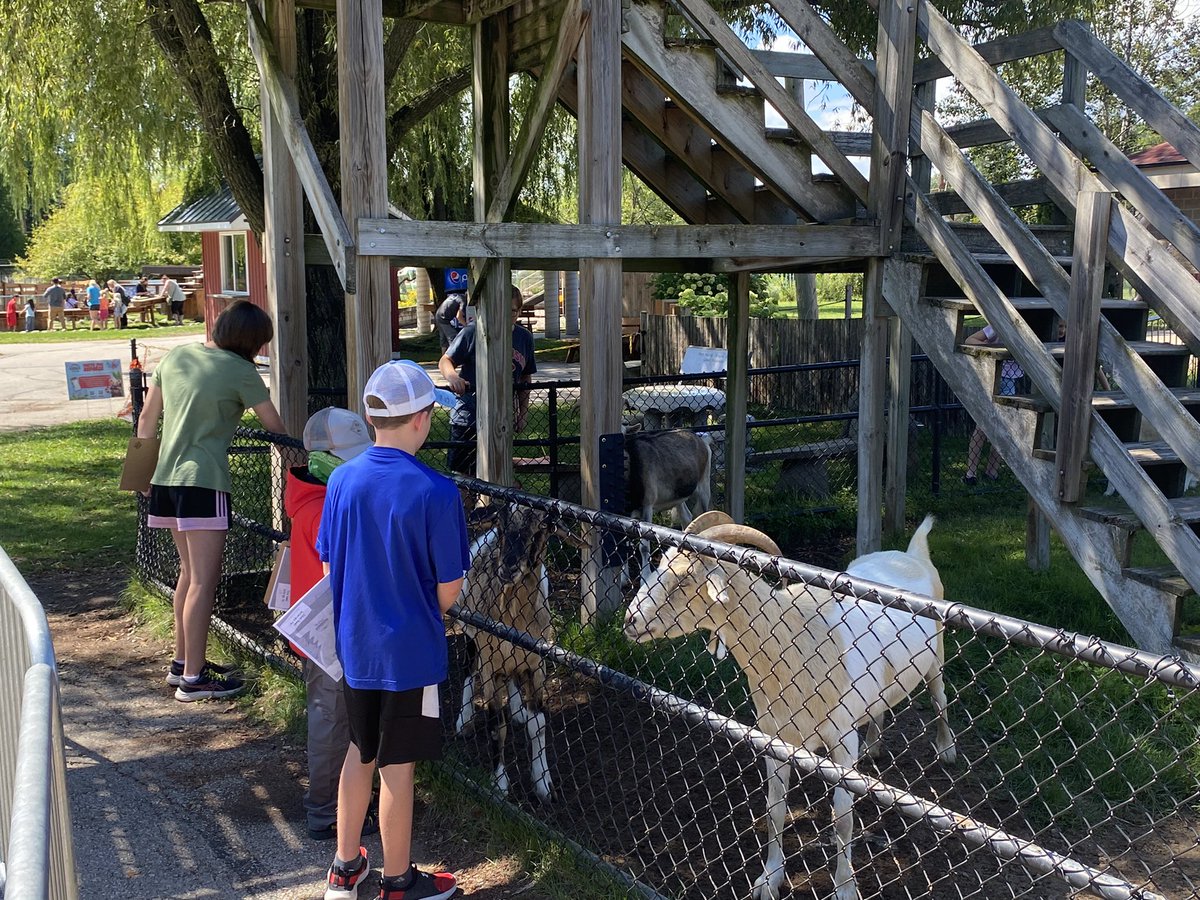 MarkSmith_HSSD's tweet image. @HSSD Summer programming continues this week with nature based learning @NEWZOOGB #innovativeprogramming #authenticlearning