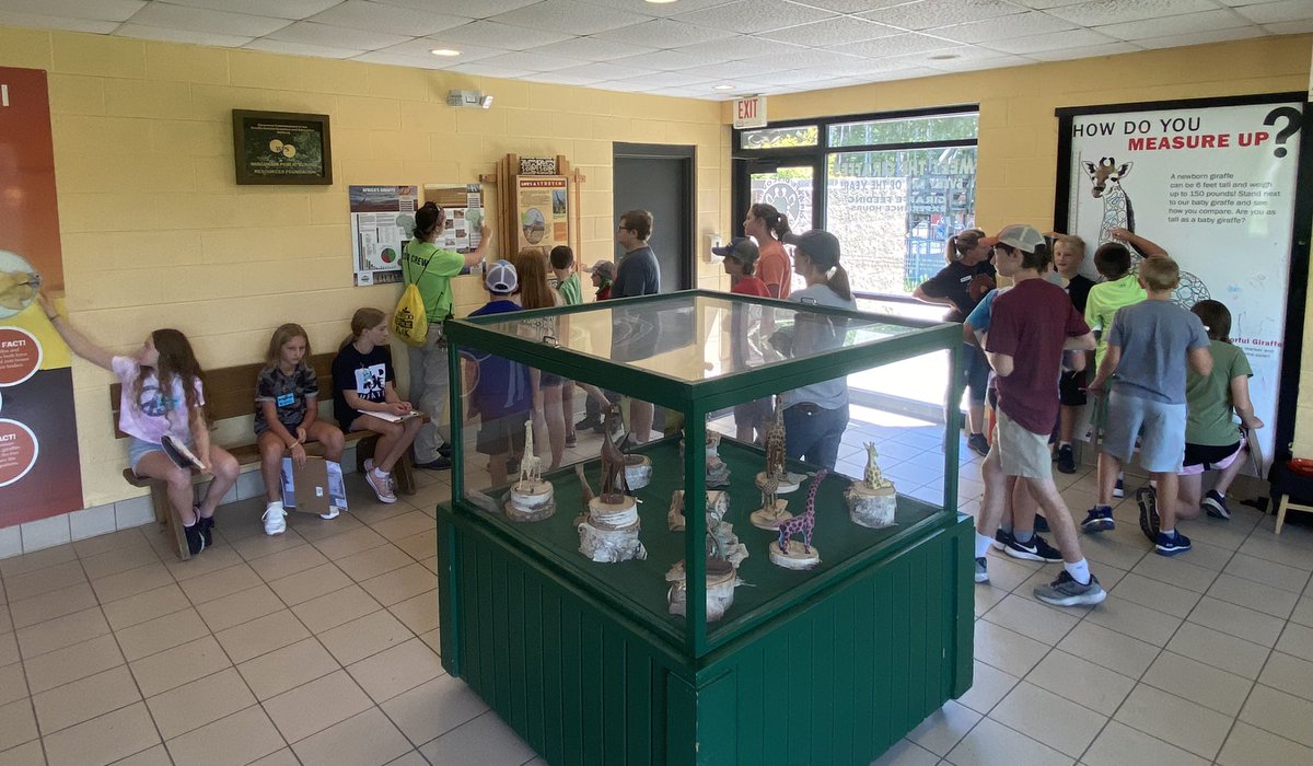 MarkSmith_HSSD's tweet image. @HSSD Summer programming continues this week with nature based learning @NEWZOOGB #innovativeprogramming #authenticlearning