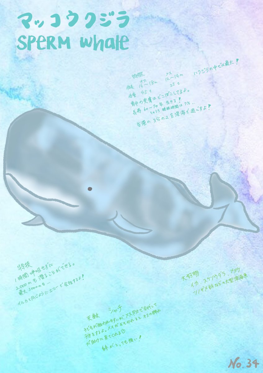 マッコウクジラ のイラスト マンガ作品 19 件 Twoucan