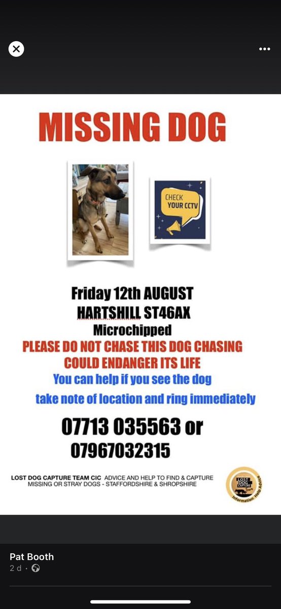 aldrayt's tweet photo. My friends dog has gone missing in the Hartshill Stoke on Trent / Newcastle under Lyme area. Please if you’re local keep an eye out for her. Please either call the numbers or dm me if you see her. Thanks 🙏 https://t.co/cvQToHr1Uu