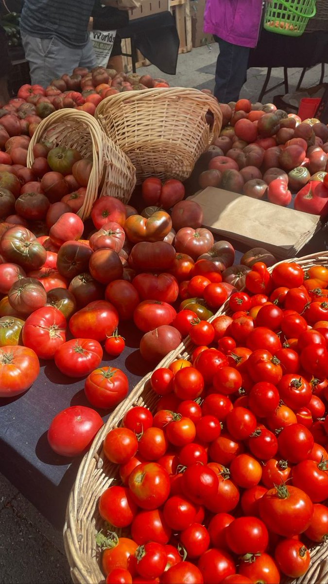 fatmaamer888's tweet photo. Do you know that tomatoes reduced risk of heart disease and cancer. They are also a great source of vitamin C, potassium, folate, and vitamin K. 😮
Please RT if this have benefits for you !!!!✊
#fruits #Benefits #Tomatoes https://t.co/6mLc8aeK8k
