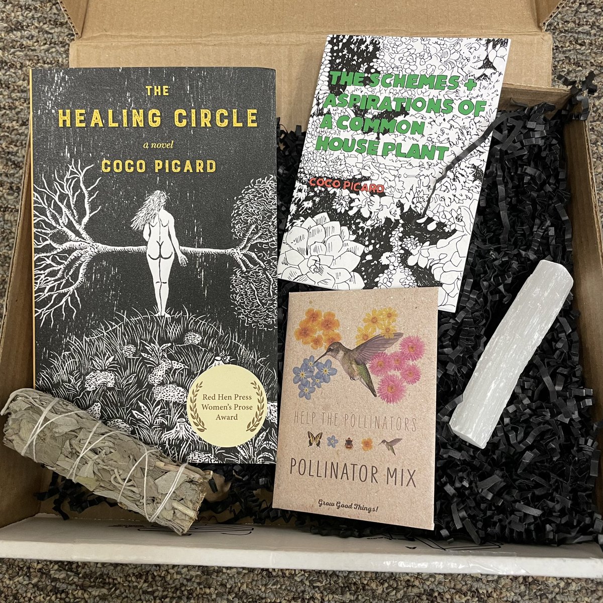 Finally time to #FallintoReading with The Healing Circle by <a href="/cocolarolo/">Coco Picard</a> where Mother has escaped her family in search of a miracle cure &amp; signed up for an experimental treatment at a hospital near Munich.  But what if Mother has already died?  Is this the afterlife instead?