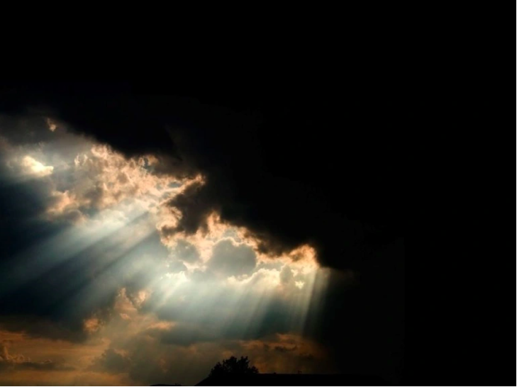 Roya Mahboob tweet media