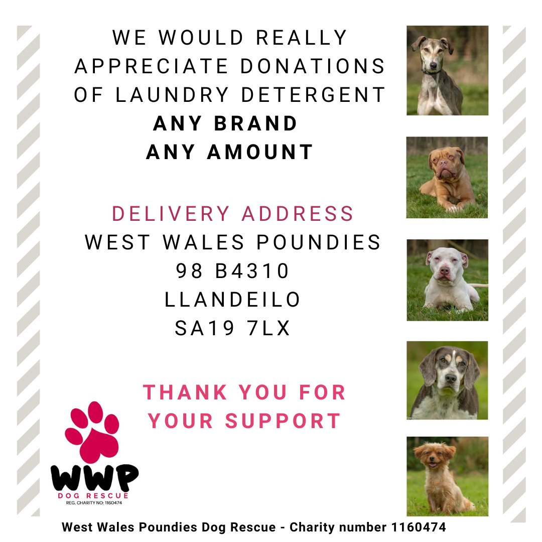 WWPdogs's tweet photo. With 96 dogs in our care, the washing really piles up and so does the cost of the laundry detergent. If you are able to, we'd really appreciate any brand and any amount of laundry detergent donations. Thank you ♥️ https://t.co/hQPRFavTMe