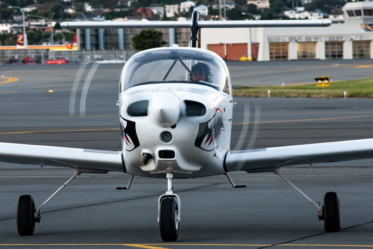Infinite Flight tweet media