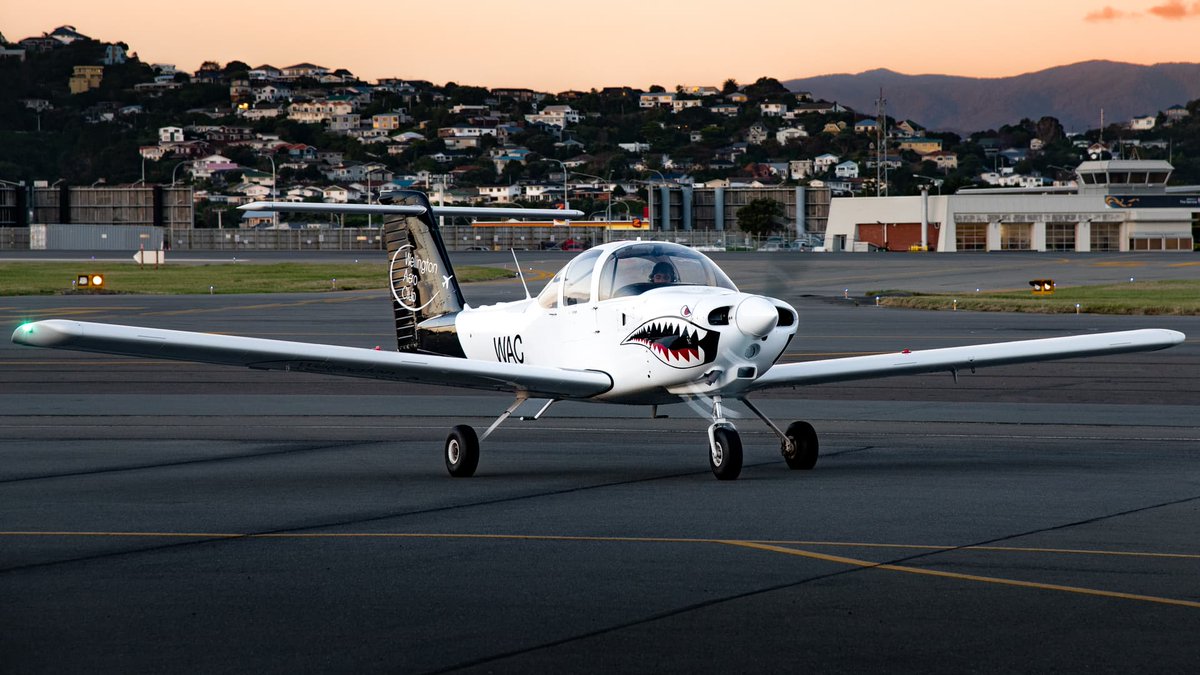Infinite Flight tweet media