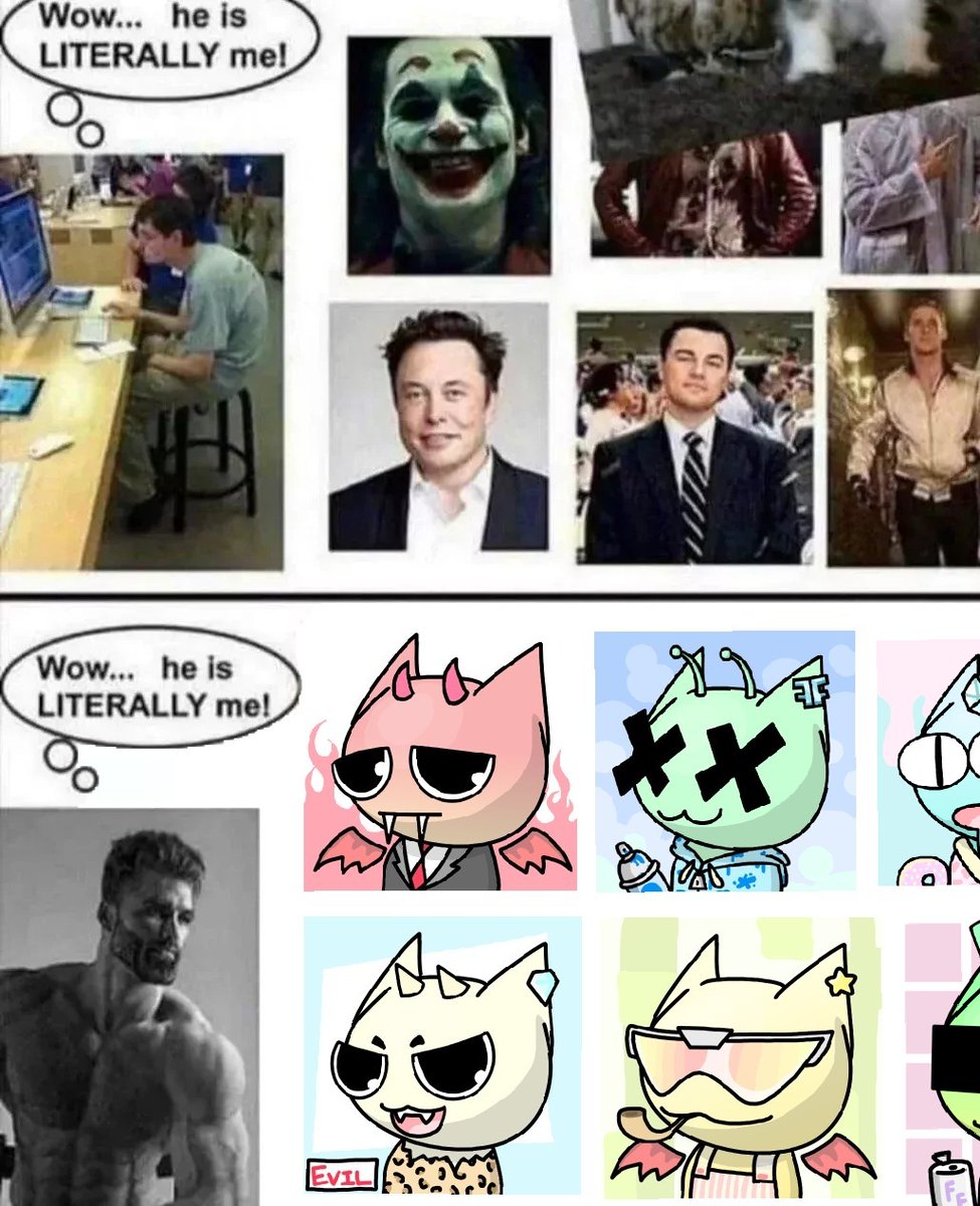 ForeverFelines tweet media