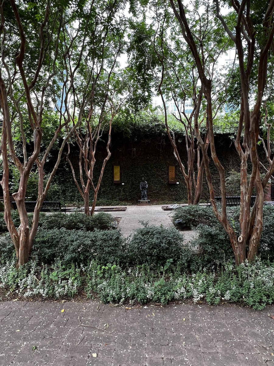 CLT Development's Campaign Committee tweet media