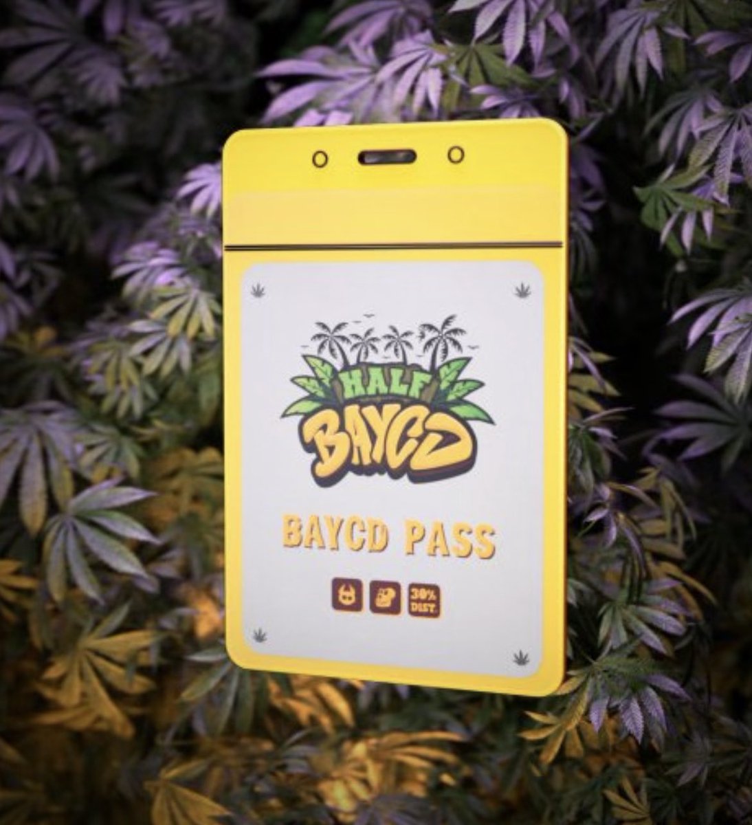 TheeHustleHouse's tweet photo. Let’s celebrate friendship with an #NFTGiveaway 

The @HalfBAYCD mint is live but I want to #giveaway 2 @HalfBAYCD #NFT BAYCD passes. 

Tag your homie &amp; tell us why they should win. You might win one too for showing love to your homie! 

Follow @HalfBAYCD &amp; @TheeHustleHouse https://t.co/70SMuG9Rzb