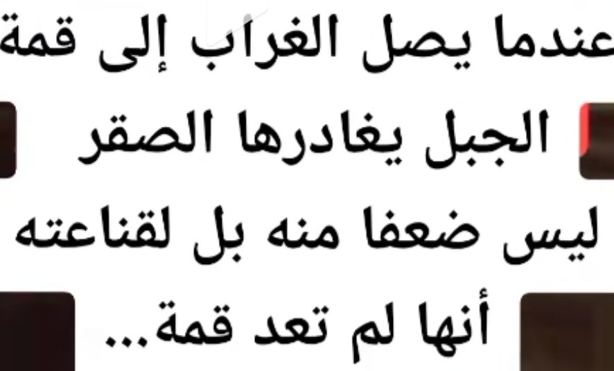سالم خلف الشامان tweet media