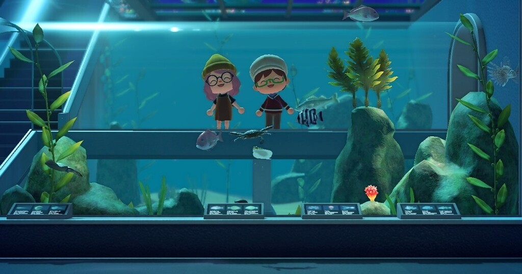 nookfriendsACNH's tweet photo. 🐟🐠🐡 #acnh https://t.co/Bx8htXOnTQ