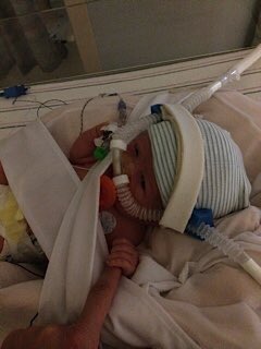 Roy_Keeton's tweet photo. It has been the most Wonderful and yet Terrifying years of my life son. I 💚 you more than anything. We are so proud of you. Happy 7th 🎂🎉 Birthday!! #DwarfismAwarness #LPA #LittlePeopleofAmerica https://t.co/XTK46f7oOf