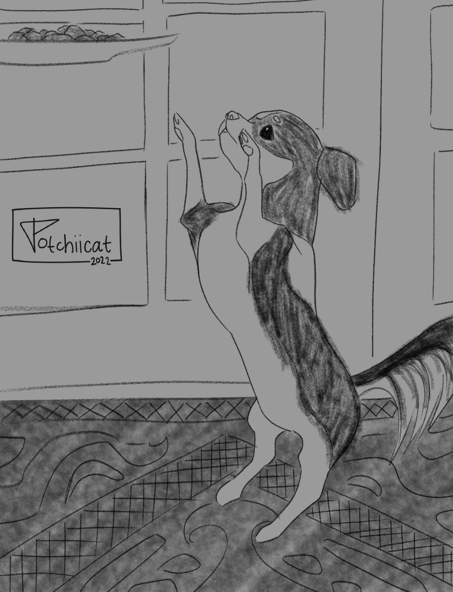 Potchiicat she/her COMMISSIONS OPEN tweet media