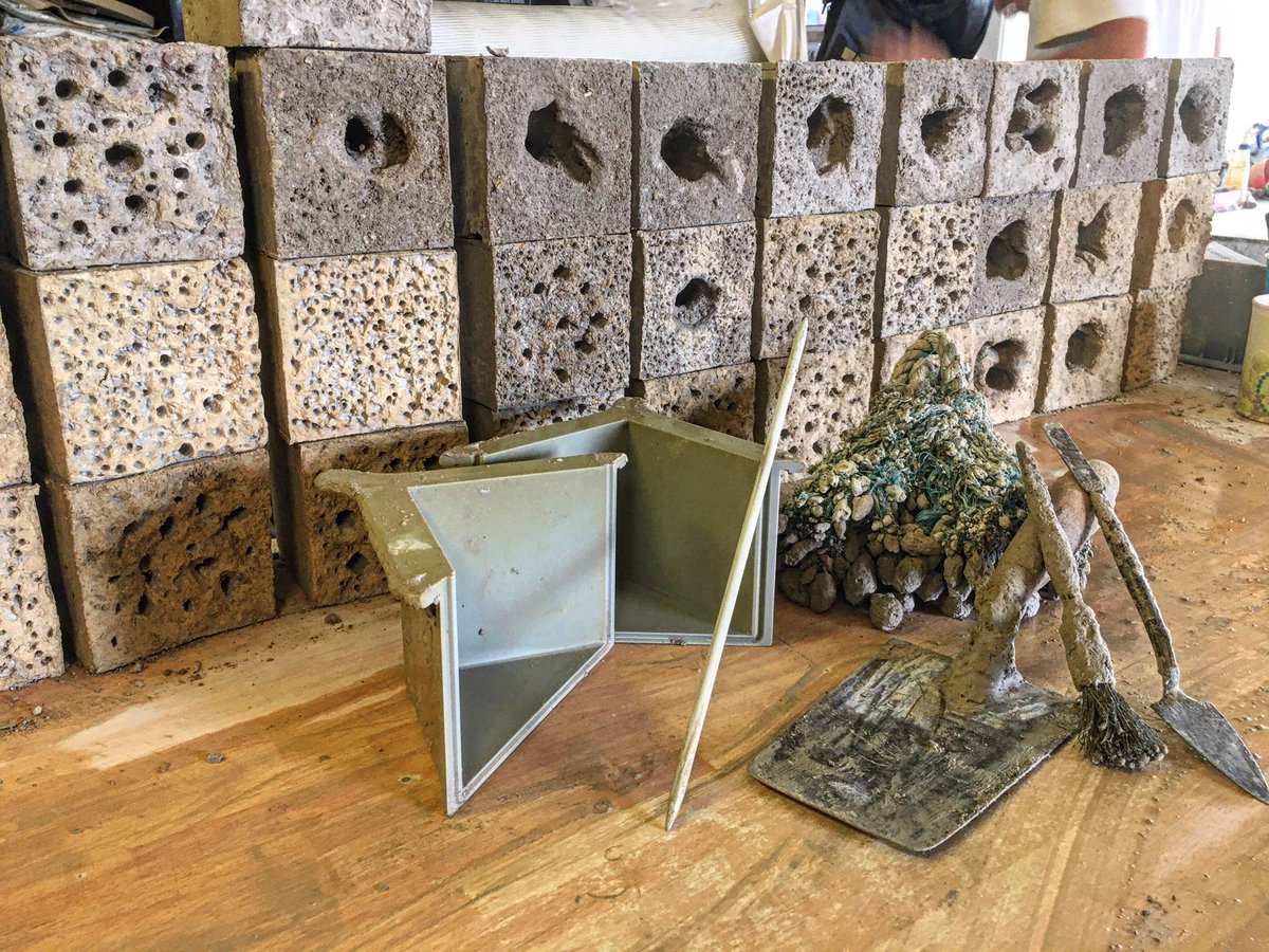 NigeGeorge's tweet photo. The wonder tool known as a ‘Knampspaggler’. I’ve had a Knampspaggler in my toolbox for over 25 years!  It’s usefulness has never gone away, and today it’s up front and centre in the @ArtecologyDept studio. #ecoengineering #naturebricks https://t.co/dlofLKnUsz