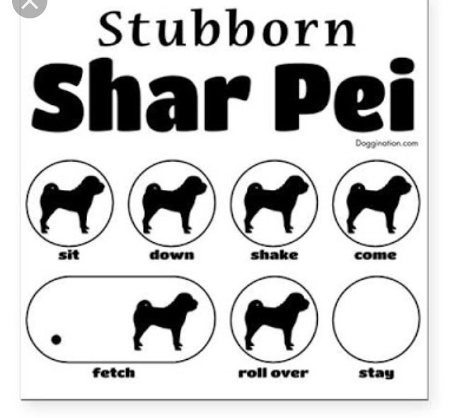 evrançelem tweet media