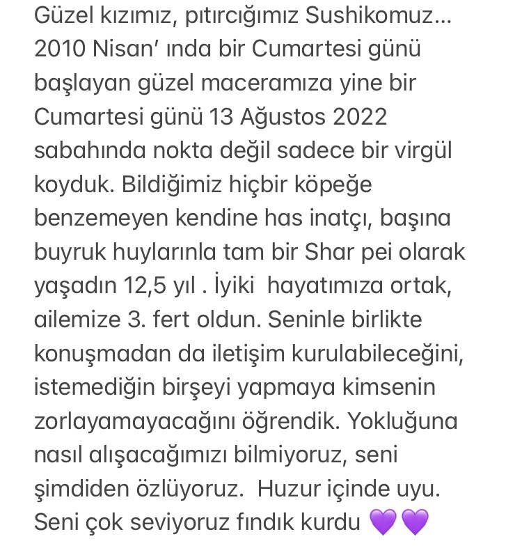 evrançelem tweet media